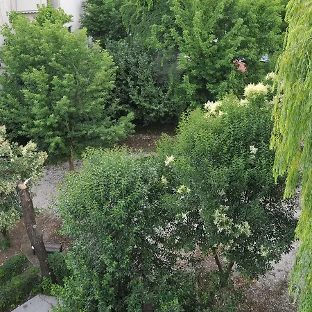 Hotel Garden